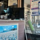 승리카모터스 이미지