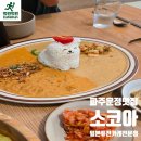 소코아 파주운정점 | 운정맛집 소코아파주운정점 아이랑 갈만한곳 카레 나들이 후기