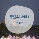25년 5월 두번째 : 이것저것 다 해봤서라