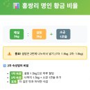 아삭한 매실장아찌 담그는 법! 알토란 홍쌍리 명인 홍매실장아찌, 숙성기간 완벽 정리