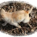 단비농장 이미지