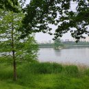 정조농장 이미지