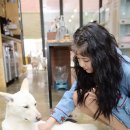 혜정농장 이미지