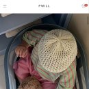 피비솔