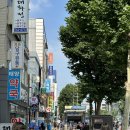 새가야약국 | 종로 위고비 성지, 가격부터 병원 정보까지 내돈내산 후기