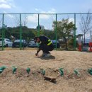 금남초등학교(병설) 이미지