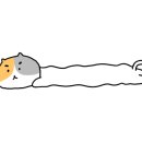 양평쭈꾸미 이미지