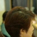 금보라미용실