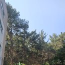 거성중학교 | 부산 진구의 간단하게 다녀올 수 있는 화지산(199m)
