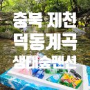 외가댁 | 충북 제천 백운면 덕동계곡 &#39;생태숲펜션&#39; 독채 아이랑 2박 3일 솔직후기!