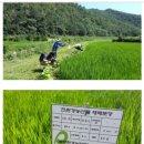 꿈이익는영농조합법인 이미지