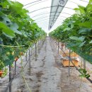 한동농장 이미지