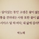 라갤러리 이미지
