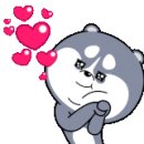 세모씨앤아이 이미지