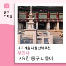 대구 겨울 사찰 산책 추천 부인사 고요한 동구 나들이-13기 심윤용 기자
