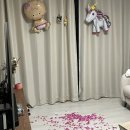 오향목장 | 임신 초기부터 중기까지/임산부 주간 일기