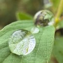 향동검도관 이미지