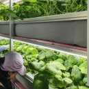 태백산업개발㈜ 이미지