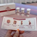 유한회사 재현잇 | 여성유산균 &lt;엘레나&gt; 여성질유산균추천 프로바이오틱스 덴마크유산균