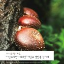 이남주자연아래버섯 이미지