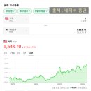 타이거컴퍼니 | 코카콜라 컴퍼니 주식에 관심을 가진 이유,역사 주가 배당금 정리