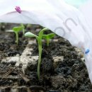 방충농장 이미지