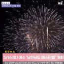 함평나비(광주) 이미지