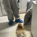 세븐일레븐 서산중앙점
