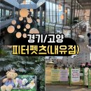 내유길 | <경기/고양> 서울 근교 애견동반카페 7곳 중 최고였던 피터펫츠 내유점 솔직 후기