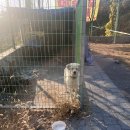 목감사우나 이미지