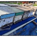 신왕농장 이미지