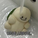 서울 여자 인사드립니다
