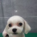 깍까독 이미지
