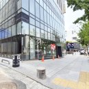 소나무인테리어 이미지