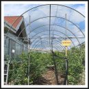 도혜원민박 이미지