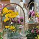 영지유치원 이미지