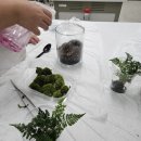 연포초등학교 | 창원 의창초등학교 두드림학교 마음을 가꾸는 시간, 초등원예수업 마음원예교실