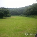 교래자연휴양림 이미지