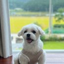 공간부춘 이미지