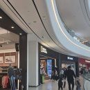 내셔널지오그래픽 안성점 | [2024,11,9] 내셔널지오그래픽 패딩 AS 후기(기간,비용)
