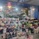 강남꽃직매장 이미지