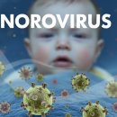 굿앤굿 | 아기 노로바이러스 응급실 비용, 현대해상 굿앤굿 어린이보험 실비 청구 후기