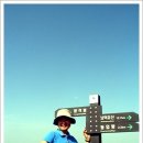 자연이좋은사람들 이미지