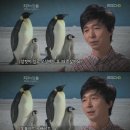 황제 이미지