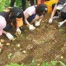 예밀농장 이미지