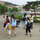 안양서초등학교 이미지