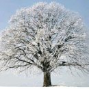 전남대 정문 이미지