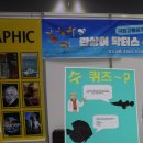 한국참피온 | 2025 관상어박람회 with 렙타일 후기 (사진많음)