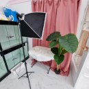 딩동 펫 살롱 이미지