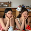 나인컨셉